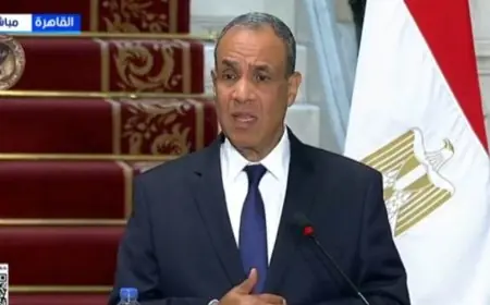 دعوة من ترامب للرئيس السيسي للانضمام إلى مجلس السلام يعلنها وزير الخارجية