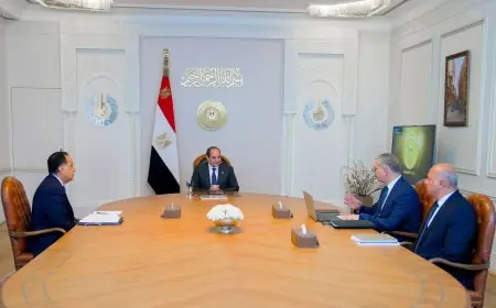 الرئيس السيسي يشدد على أهمية الالتزام بسداد مستحقات شركات البترول والغاز في مصر