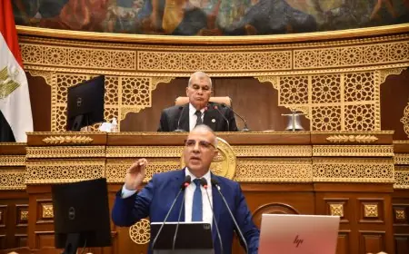 هاني سويلم أمام مجلس الشيوخ: حل أزمات المناطق الساخنة بإشعارات فورية