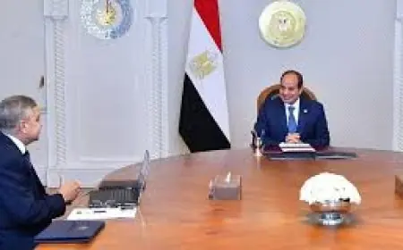 لقاء الرئيس السيسي والفريق أسامة ربيع لتعزيز التعاون في إدارة قناة السويس