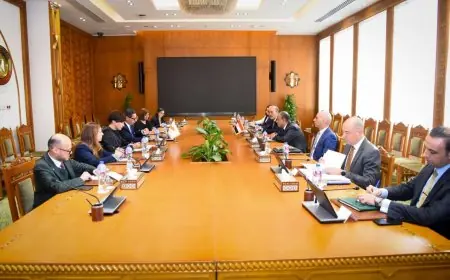 مشاورات سياسية مكثفة بين مصر وقبرص لتعزيز العلاقات الثنائية