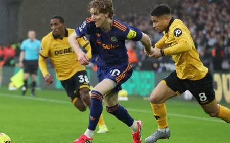 تعادل مخيب لنيوكاسل أمام ولفرهامبتون في الدوري الإنجليزي الممتاز