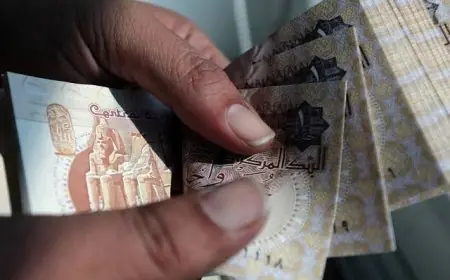 توقعات جولدمان ساكس بانتعاش الجنيه المصري في عام 2026