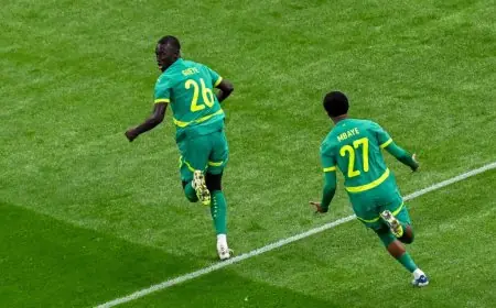 السنغال تحصد لقب أمم أفريقيا 2025 للمرة الثانية في تاريخها مبروك للأسود