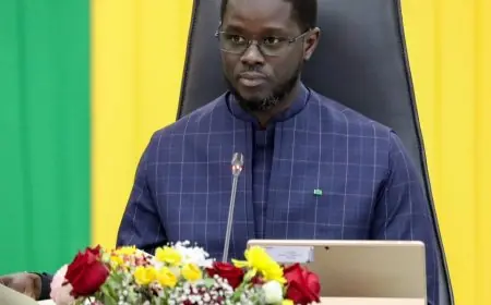 إجازة وطنية في السنغال اليوم بعد فوز أسود التيرانجا بكأس أمم أفريقيا