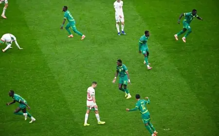 إحصائيات مثيرة بعد فوز أسود التيرانجا على المغرب في نهائي كأس أمم أفريقيا 2025 السنغال تحتفل باللقب