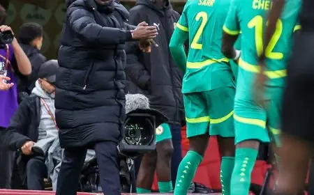 توتر في النهائي: تفاصيل المشادة الساخنة بين الركراكي ومدرب السنغال