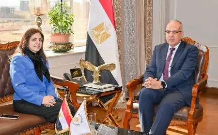 تعزيز التعاون مع دول حوض النيل على طاولة وزير الري والخارجية