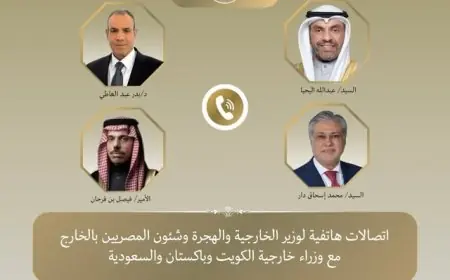 اتصالات مكثفة لوزير الخارجية مع السعودية والكويت وباكستان بشأن تطورات غزة