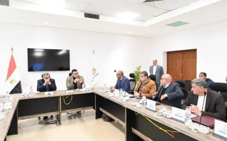 وزير الإسكان ومحافظ الدقهلية يتابعان تطورات الخدمات في المنصورة الجديدة