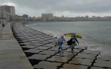 الأرصاد تكشف عن طقس غير مستقر: سحب منخفضة وأمطار متفرقة ورياح نشطة تعم الأجواء