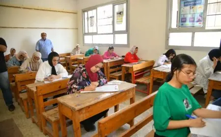 اكتشف الآن نتيجة الصف السادس الابتدائي 2026 باستخدام رقم الجلوس الخاص بك