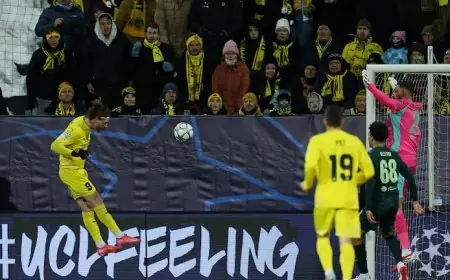 خسارة مانشستر سيتي أمام بودو جليمت بثلاثية في دوري أبطال أوروبا بالنرويج