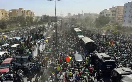 استقبال أسطوري لمنتخب السنغال في داكار بعد فوزه بكأس أمم أفريقيا بالصور