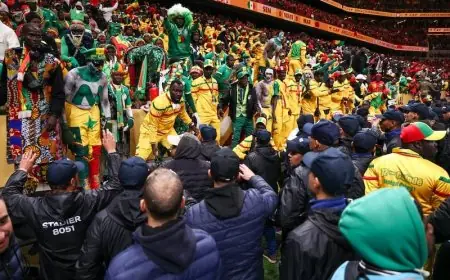 تمديد حبس 19 مشجعًا سنغاليًا بعد شغب نهائي إفريقيا وعقوبات قد تصل للمؤبد