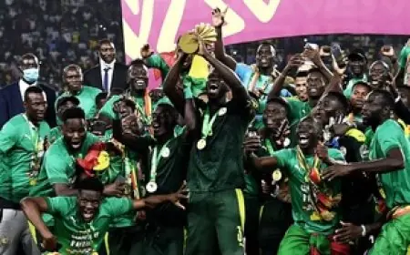 سيطرة ثلاثية: السنغال والمغرب ونيجيريا يتألقون في التشكيل المثالي لأمم إفريقيا 2025