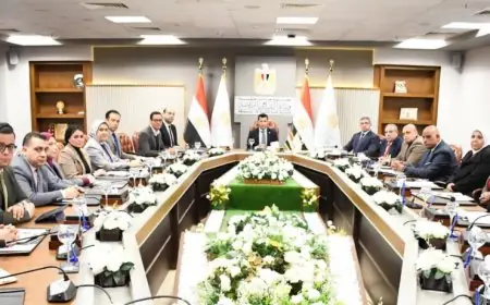 وزير الرياضة يعلن عن توسيع شامل للمنظومة الإلكترونية لتغطية كافة البرامج والأنشطة