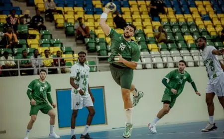 منتخب الجزائر يتعرض لهزيمة غير متوقعة أمام نيجيريا في كأس أمم أفريقيا لكرة اليد