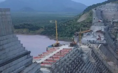 محمد حجازي يكشف هل يحل تدخل ترامب أزمة سد النهضة بموافقة الأطراف