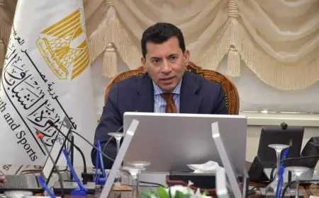 وزير الشباب والرياضة يشكل لجنة مؤقتة جديدة لإدارة نادي النصر الرياضي