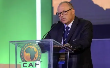 هاني أبو ريدة يمتدح التزام المنتخب المصري في بطولة أمم إفريقيا 2025