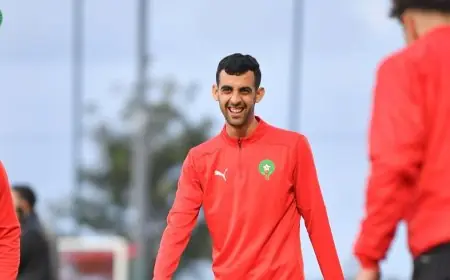 الأهلي المصري يعزز صفوفه بالتعاقد مع النجم المغربي يوسف بلعمري من الرجاء