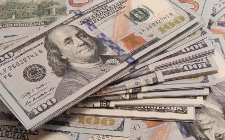 انخفاض جديد في سعر الدولار أمام الجنيه المصري في نهاية تعاملات البنوك