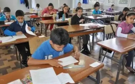 استعلم الآن عن نتيجة الصف السادس الابتدائي 2026 باستخدام الرقم القومي والاسم