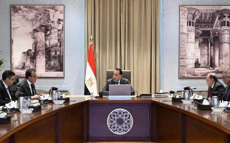 رئيس الوزراء مدبولي يؤكد متابعة مستمرة لسداد مستحقات شركات الدواء لضمان استقرار التوريد