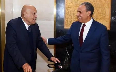 وزير الخارجية يثني على جهود البروفيسور مجدي يعقوب والمشروعات الصحية المصرية الداعمة للتنمية في إفريقيا