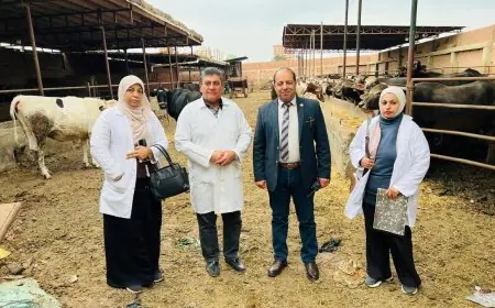 تحصين وتعقيم 5000 كلب حر منذ بداية العام في إطار خطة مكافحة السعار