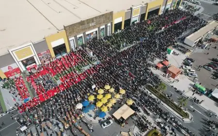 مليون زائر يكتسحون معرض القاهرة الدولي للكتاب في يومين فقط من افتتاحه للجمهور