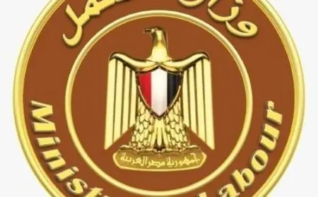 وزير العمل يستدعي صاحب فيديو مكتب العمل ويصدر أوامر بحل شكواه على الفور