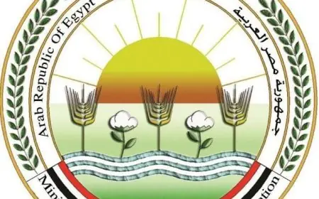 تحذير من الزراعة: احذروا الصفحات الوهمية التي تروج لبيع المنتجات الزراعية عبر الإنترنت والتواصل الاجتماعي