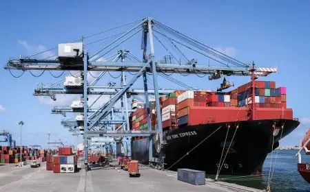 ميناء دمياط يشهد نشاطاً مكثفاً مع استقبال 29 سفينة في يوم واحد