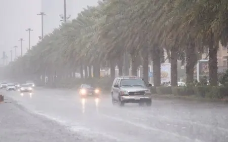 تعرف على حالة الطقس اليوم الأحد: رياح محملة بالأتربة وظواهر جوية مثيرة