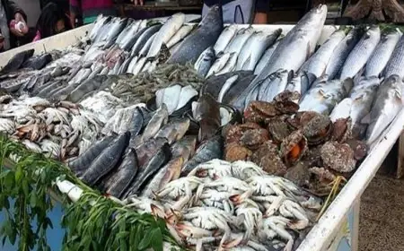 تعرف على أسعار الأسماك اليوم الأحد في سوق العبور قشر البياض يبدأ من 190 جنيهًا فقط