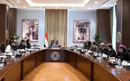 مدبولي يعزز تمويل مشروعات الكهرباء ويدعم الشبكة القومية لاستيعاب الطاقة المتجددة