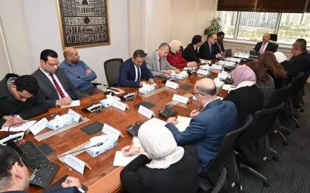 وزارة الصناعة تتعاون مع إيليت سولار لتعزيز التصنيع المحلي وتوسيع مشاريع الطاقة الشمسية في مصر
