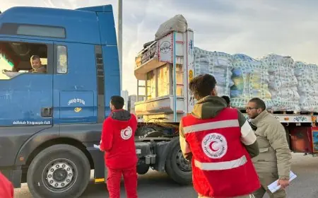 الهلال الأحمر المصري يستمر في تعزيز غزة بـ 124 قافلة و أكثر من 7 آلاف طن من المساعدات