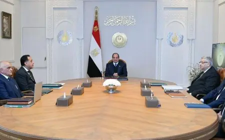 توجيهات السيسي بإنشاء مجمع صناعي متكامل للأطراف الصناعية بمعايير عالمية
