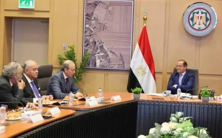 وزير المالية يعلن عن تطوير المنظومة الضريبية بتحسين خدمة العملاء لزيادة جذب الممولين الجدد