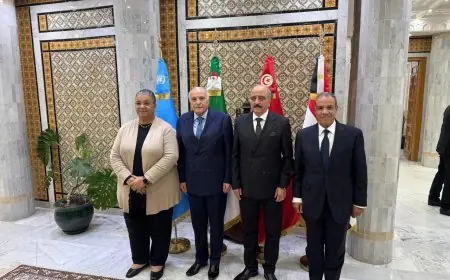 وزير الخارجية يؤكد أن توحيد المؤسسات الليبية هو السبيل لعودة الاستقرار الكامل في البلاد