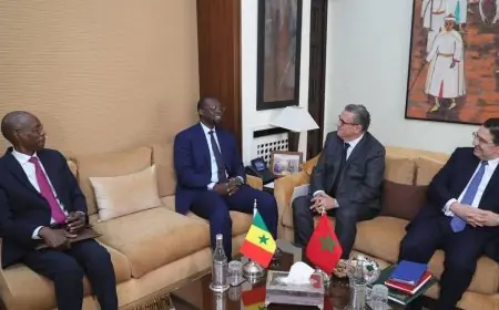 المغرب والسنغال يخططان معًا لمستقبل مشرق بعد أزمة نهائي كأس إفريقيا