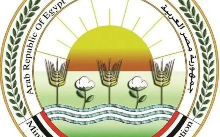 الزراعة تؤكد عدم وجود أي رصد للجراد الصحراوي في بئر العبد بسيناء