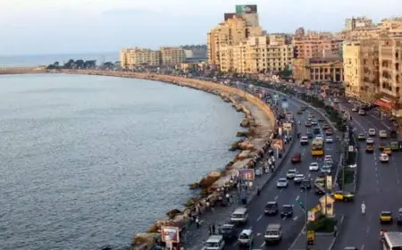 حمولة سيارة نقل تتسبب في زحام مروري خانق بطريق الجيش في الإسكندرية