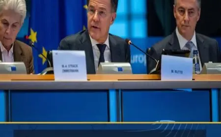 روته يؤكد أمام لجنة الدفاع الأوروبية: لا خيار سوى دعم أوكرانيا