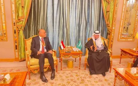 وزير العمل يبحث مع نائب وزير الموارد البشرية السعودي سبل التعاون والتنمية الاجتماعية