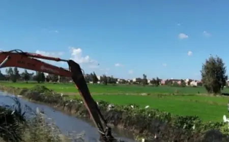 الحكومة تكشف حقيقة زيادة رسوم تطهير الترع والمصارف 300% على المزارعين