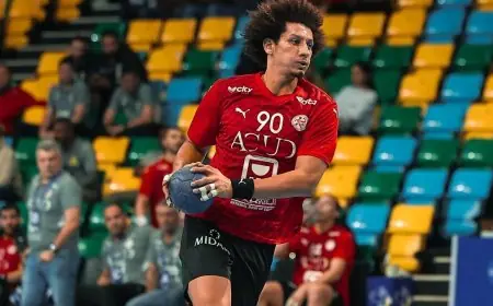 مصر تكتسح نيجيريا وتقود الجزائر لنصف نهائي بطولة إفريقيا لكرة اليد المدهشة